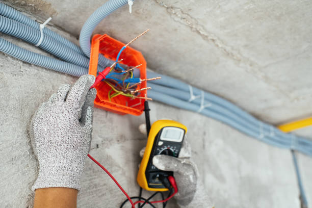 Best Electrical System Inspection  in Island Walk, FL